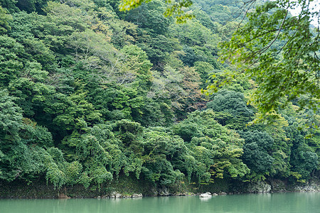 日本荒原山湖旅行农村溪流风景公园遗产世界红叶游客村庄图片