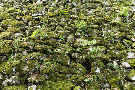 有青苔和liche的老石墙地衣栅栏植物岩石灰色乡村绿色苔藓风化边界图片