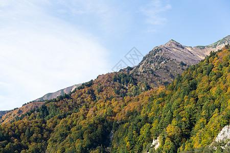 泰山山区图片