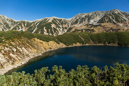 日本的泰山森林高原风景高地晴天路线高山室堂冒险国家图片