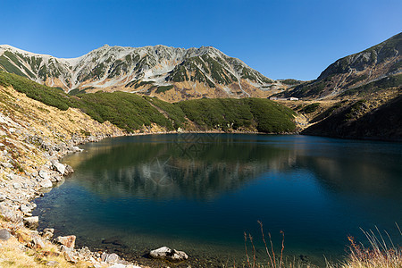 美丽的池塘爬坡植物黑部顶峰森林立山路线天空晴天阳光图片