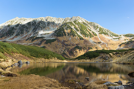 Mikurigaike池塘高山蓝色黑部顶峰反射立山植物水池旅行爬坡图片