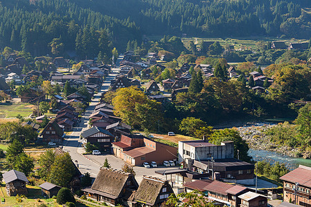 传统Shirakawago村地标木头文化建筑学白川村庄绿色植物旅行建筑合掌图片