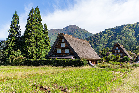 日本加绍风格房屋图片