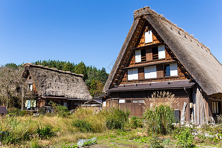 传统的日本白川古老村落农村遗产建筑学世界村庄旅行风景木头场地吸引力图片