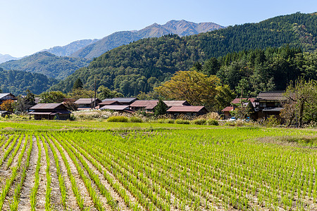 白川的日本老村图片