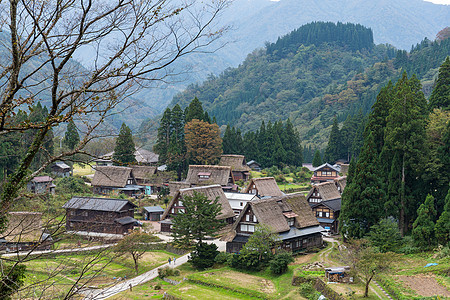 日本白川戈村村庄遗产文化历史性茅草稻草地标丛林白川木头图片