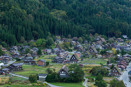 Shirakawago村季节性乡村森林历史文化观光村庄房子遗产太阳图片