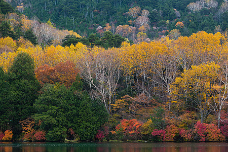 Nikko的Yunoko湖观光季节叶子湿地植物旅行农村风景爬坡游客图片