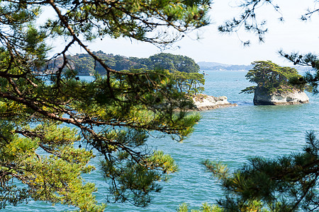 松岛场景海洋公园支撑旅游海滩天空游客蓝色森林图片