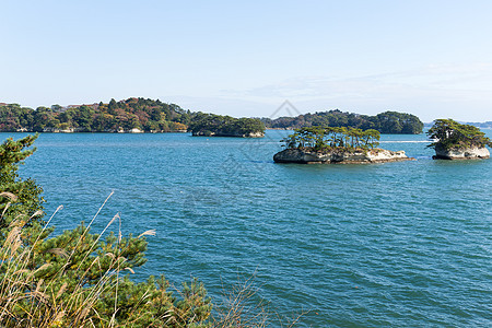 日本 松岛宫城天空植物晴天松树海景地标阳光海洋吸引力风景图片