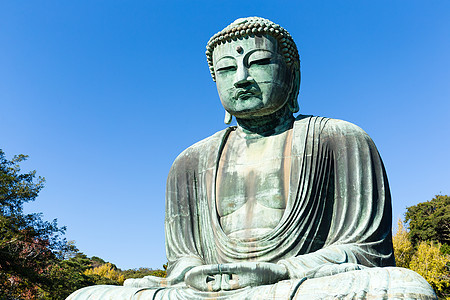 卡马库拉大佛寺庙地标大佛旅行青铜金属雕像文化旅游宗教图片