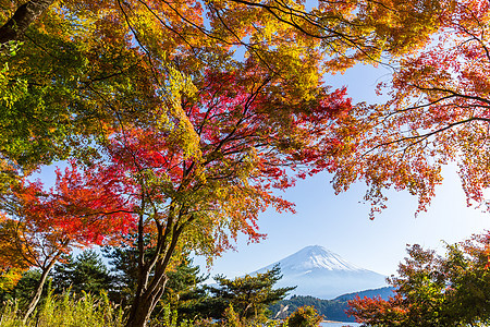 在川口子湖中的fuji山图片