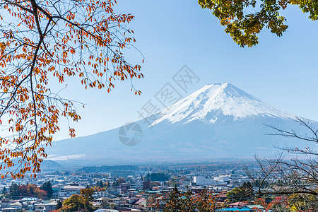 日本藤山天空神社寺庙季节山梨地标风景公园叶子蓝色图片