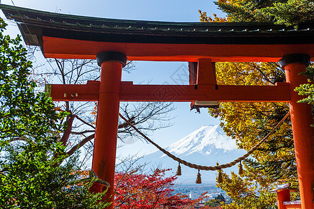 日本的托里 山木和富士山图片