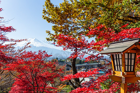 富士山和林木新仓叶子浅间旅行文化神社地标宝塔风景农村图片