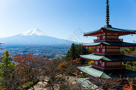 富士山和楚雷托塔神社樱花宗教新仓公吨浅间季节晴天地标寺庙图片