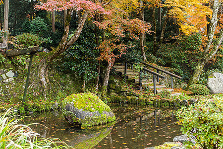 秋天的日本公园岩石风景池塘树木叶子国家场景植物石头树叶图片