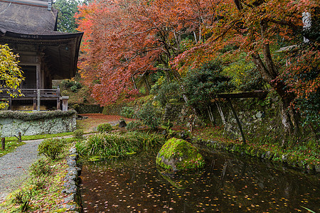 日本寺庙晴天建筑学公园建筑文化叶子环境池塘季节橙子图片