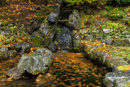 秋天的日本寺庙公园叶子花园橙子岩石文化木头风景水池植物图片