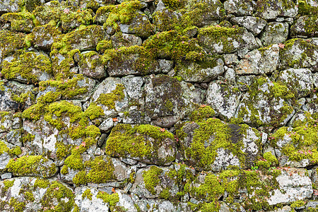 岩石纹理灰色植物绿色乡村苔藓花园石头建筑学图片