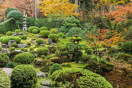 秋天的日本花园公园方法宗教脚步花园树叶池塘植物石头森林图片