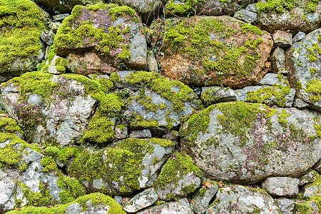 带有苔的砖墙地衣苔藓花园建筑学绿色岩石乡村栅栏植物石墙图片