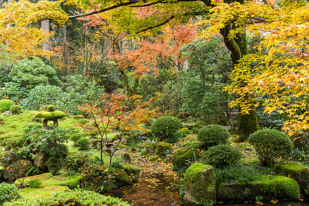 日本日本公园叶子建筑学晴天岩石地衣文化森林寺庙苔藓石头图片