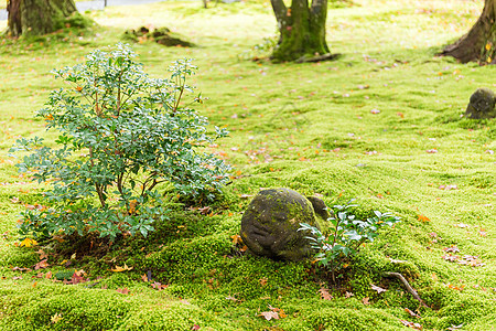 日本雕像数字纪念碑花园草地游客苔藓婴儿地藏石头绿色植物图片