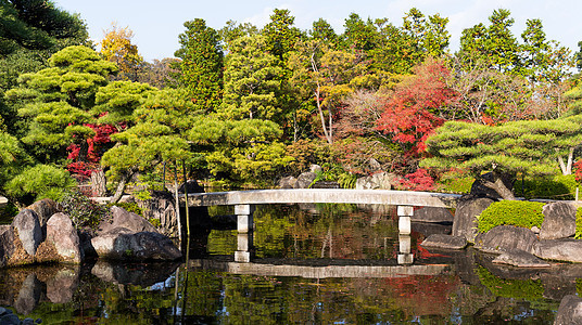 日本秋天花园文化叶子水池公园红叶旅行古园红色植物花园图片