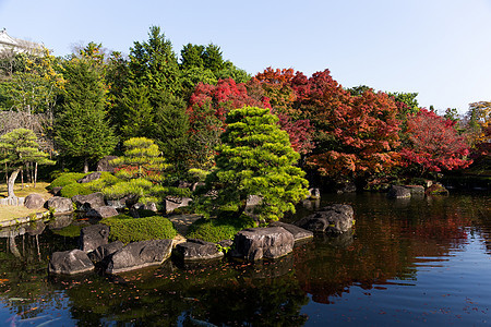 日本花园植物场景公园锦鲤旅游森林古园季节天空橙子图片