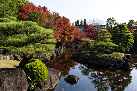 日本花园森林场景小路绿色季节花园天空旅游旅行橙子图片