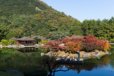 传统的日本里瓜林花园木头树叶行人树木蓝色植物学花园水池天桥房子图片