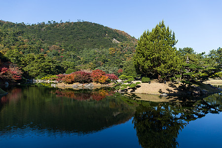 里瓜林花园文化爬坡行人天桥公园晴天寺庙宗教四国阳光图片