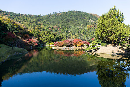 里瓜林公园宗教池塘水池晴天四国植物爬坡森林文化公园图片