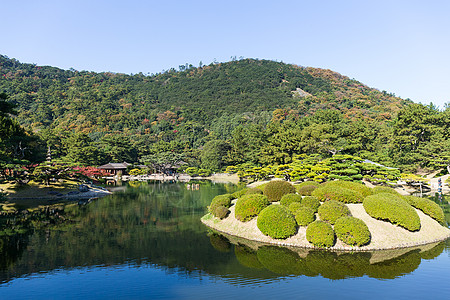 日本里草林公园图片