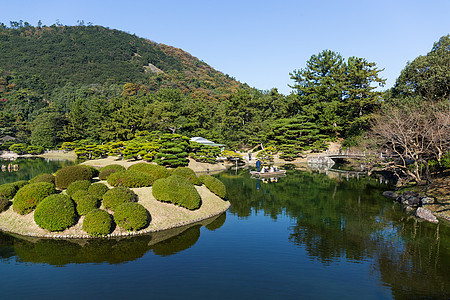 日本甲子园树叶季节池塘植物公园叶子古园旅行红色红叶图片