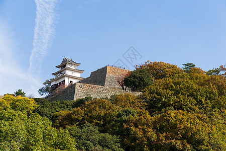 日本马鲁伽美城堡传统地标观光蓝色历史性山顶旅游建筑四国历史图片