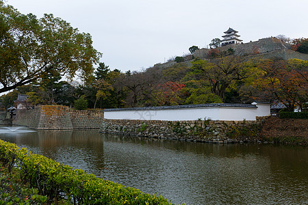 日本马鲁伽美城堡建筑旅行堡垒建筑学地标池塘植物石头遗产天空图片