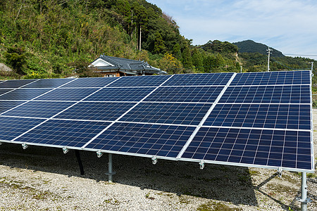 太阳能电池板厂集电极技术建筑创新光伏森林绿色热带细胞生态图片