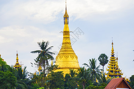 缅甸Shwedagon塔宝塔神社建筑物地标大衮风景吸引力遗迹爬坡贫民窟图片