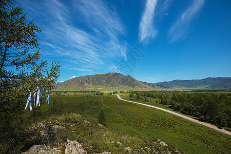 夏日的Altai 卡拉科尔斯卡亚山谷图片