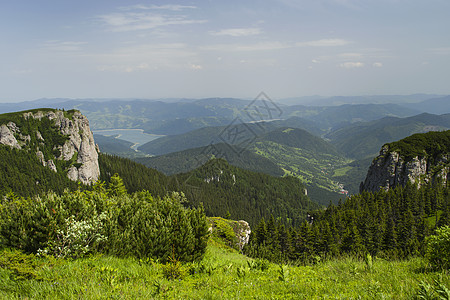 夏季山地牧场景观图片