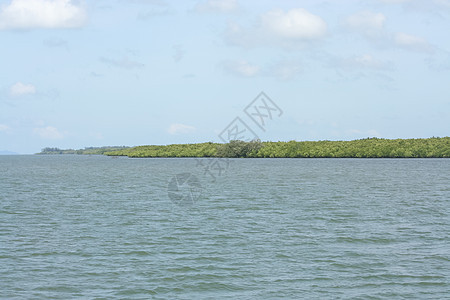 兰塔岛的热带海洋和红树林天空蓝色红树公园叶子环境绿色植物旅行森林图片