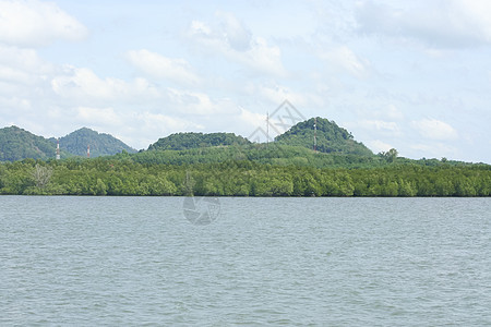 兰塔岛的热带海洋和红树林植物叶子公园天空森林红树绿色蓝色环境旅行图片