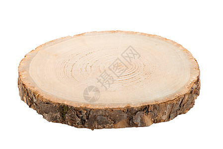 原木切片树皮木材材料白色松树日志圆圈戒指树桩树干图片