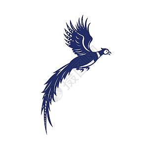 风鸟游轮飞行侧边雷特罗插图艺术品野生动物动物翅膀背景图片