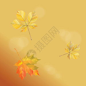 金色背景上秋天落叶的插图 它制作图案矢量棕色横幅板栗标本馆橙子季节季节性植物感恩红色图片