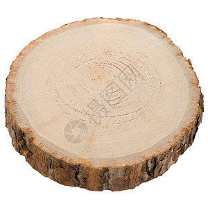 原木切片树干圆圈树桩日志白色松树材料戒指树皮木材图片