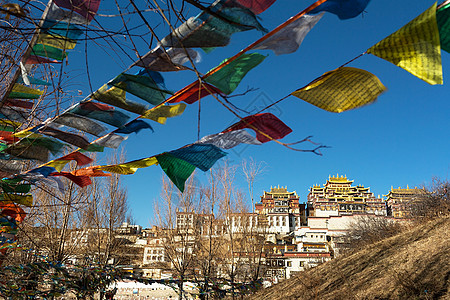 桑赞林修道院目的地旅游旅行寺院图片